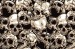skull3